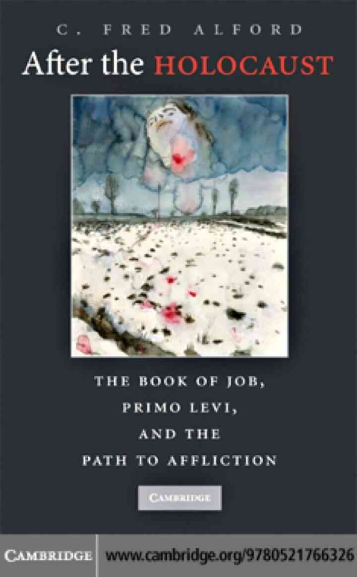After the Holocaust: The Book of Job, Primo Levi, and the Path to Affliction eBook