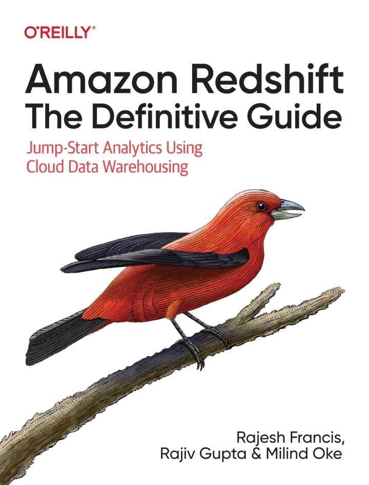 Amazon Redshift: The Definitive Guide: Jump-Start Analytics Using Cloud Data Warehousing, 1st Edition eBook