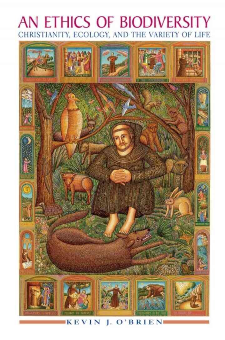 An Ethics of Biodiversity: Christianity, Ecology, and the Variety of Life eBook