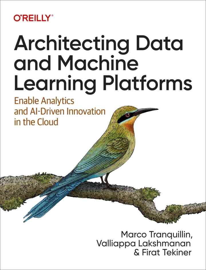 Architecting Data and Machine Learning Platforms: Enable Analytics and AI-Driven Innovation in the Cloud, 1st Edition eBook