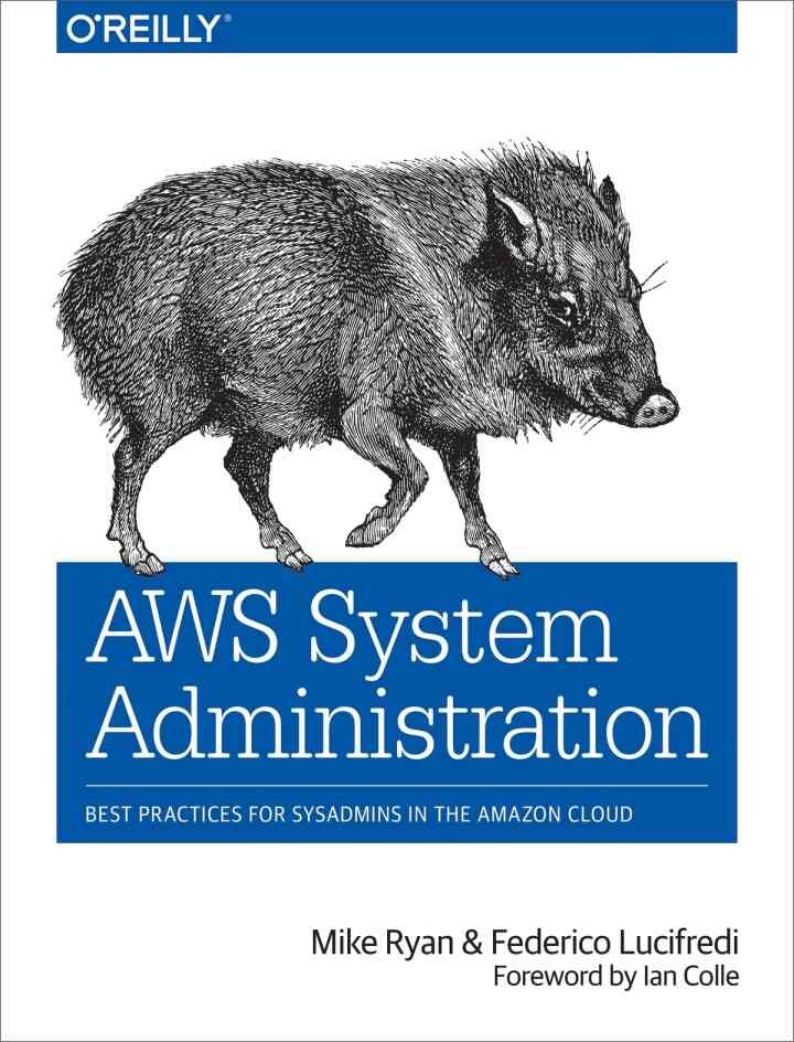AWS System Administration: Best Practices for Sysadmins in the Amazon Cloud, 1st Edition eBook