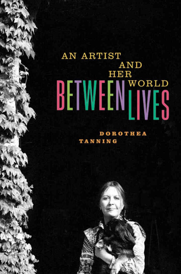 Between Lives: An Artist and Her World eBook