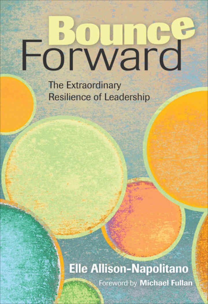 Bounce Forward: The Extraordinary Resilience of Leadership, 1st Edition eBook