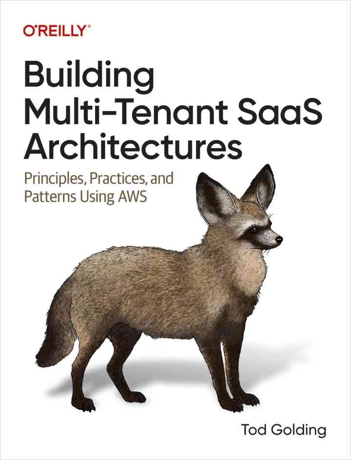 Building Multi-Tenant SaaS Architectures: Principles, Practices, and Patterns Using AWS, 1st Edition eBook