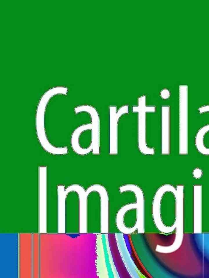 Cartilage Imaging: Significance, Techniques, and New Developments eBook
