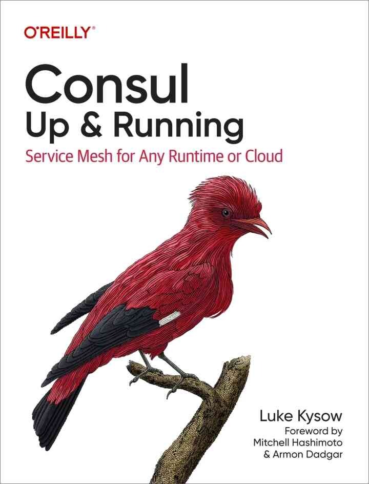 Consul: Up and Running: Service Mesh for Any Runtime or Cloud, 1st Edition eBook