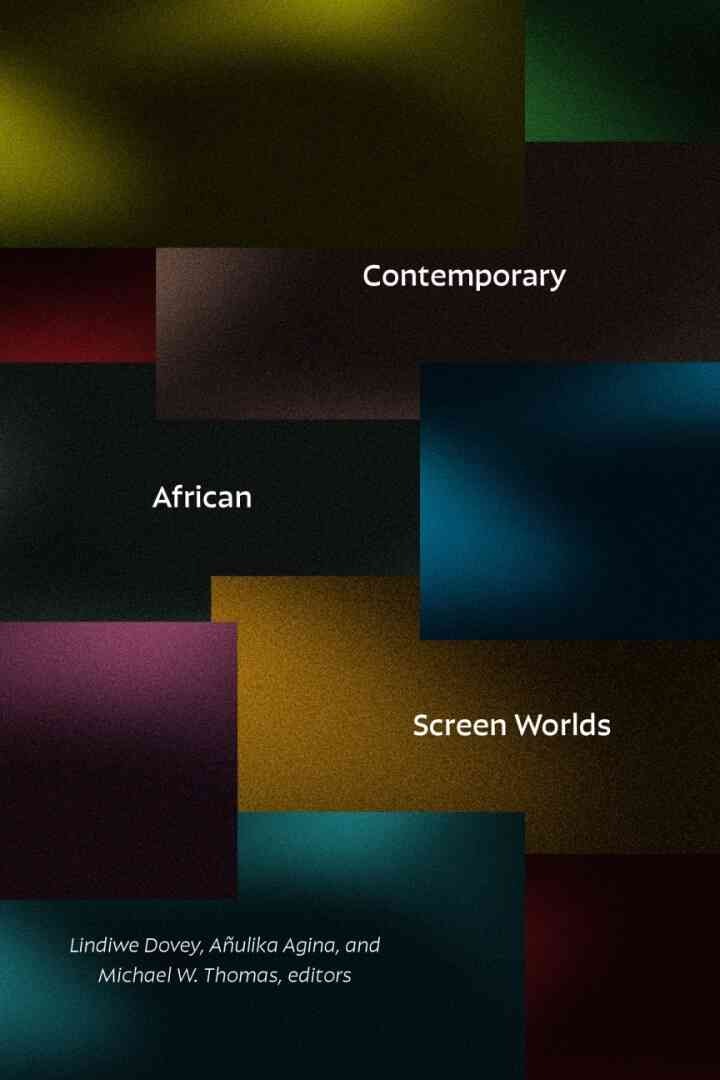 Contemporary African Screen Worlds eBook
