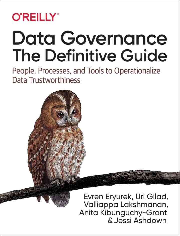 Data Governance: The Definitive Guide, 1st Edition eBook