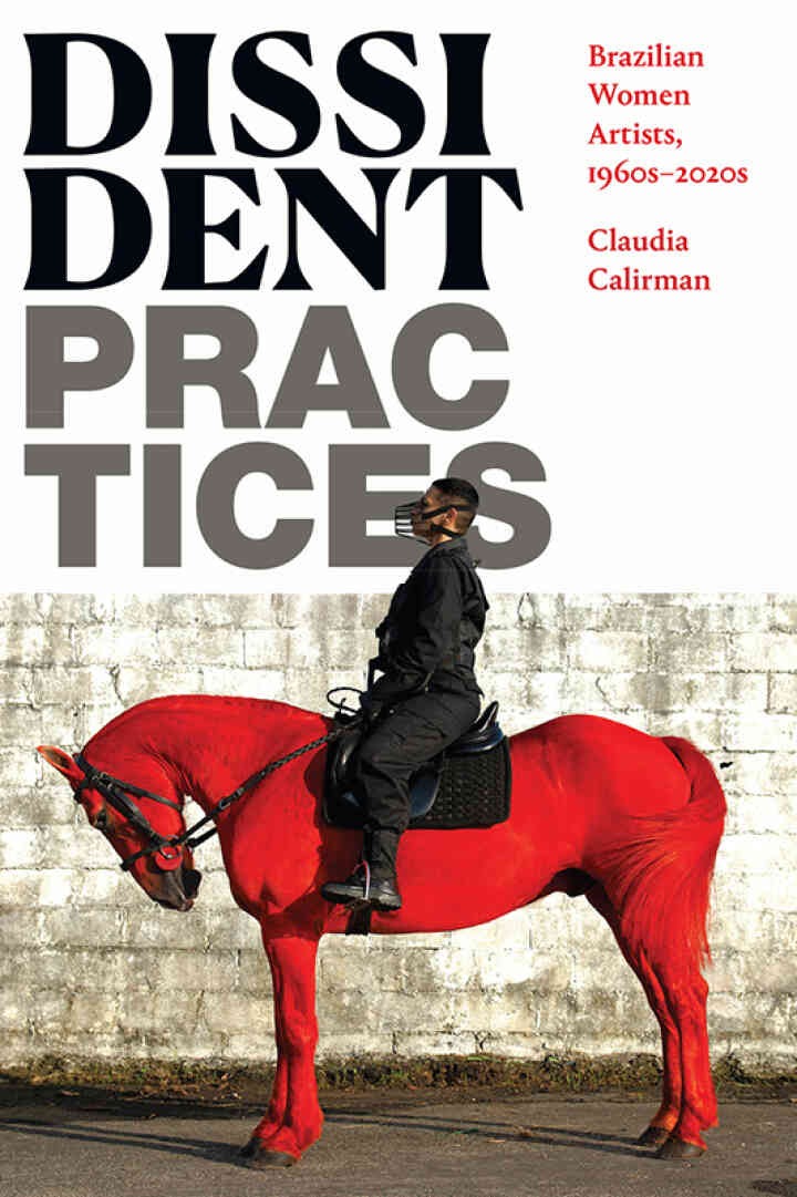 Dissident Practices: Brazilian Women Artists, 1960s–2020s eBook