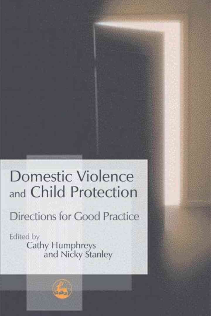 Domestic Violence and Child Protection: Directions for Good Practice eBook