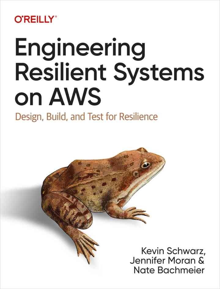 Engineering Resilient Systems on AWS: Design, Build, and Test for Resilience, 1st Edition eBook
