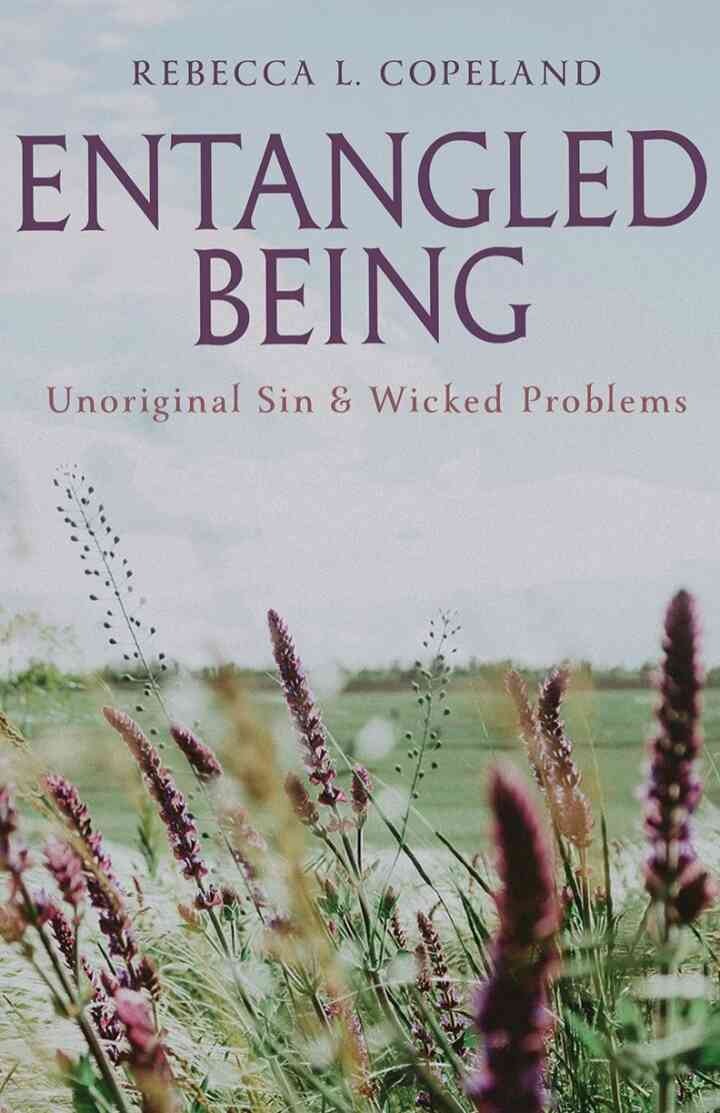 Entangled Being: Unoriginal Sin and Wicked Problems eBook