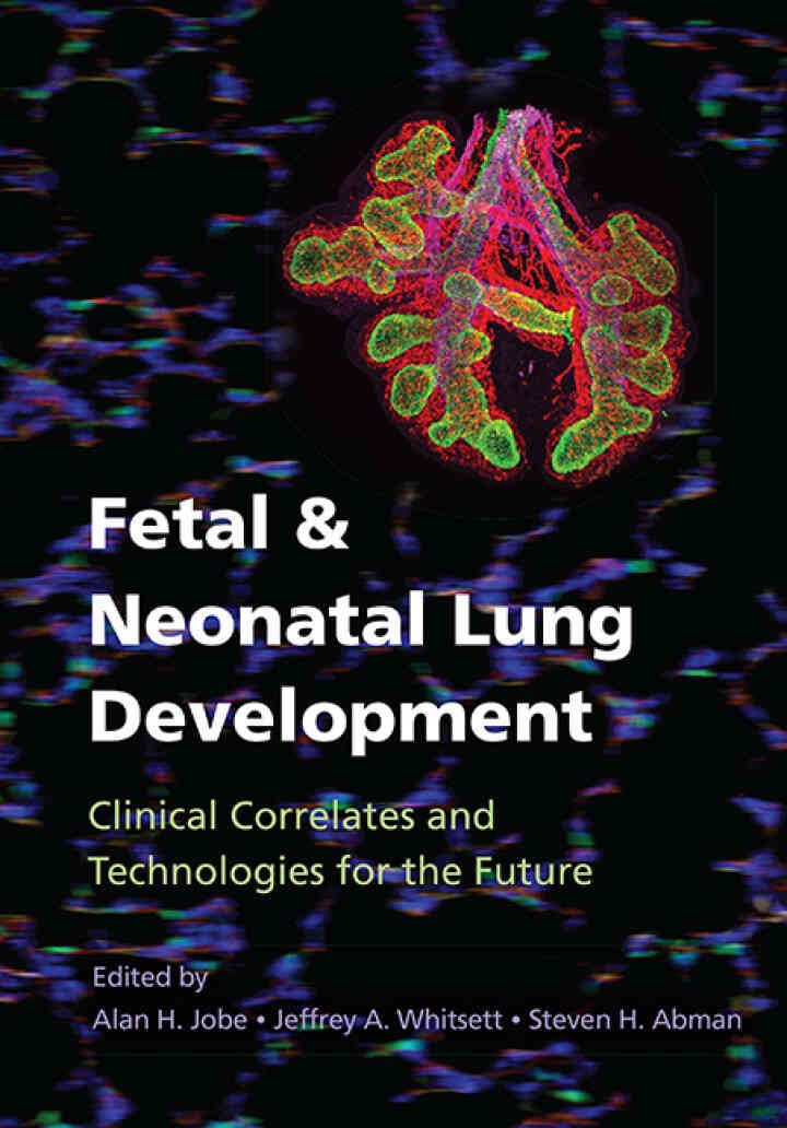 Fetal and Neonatal Lung Development: Clinical Correlates and Technologies for the Future eBook