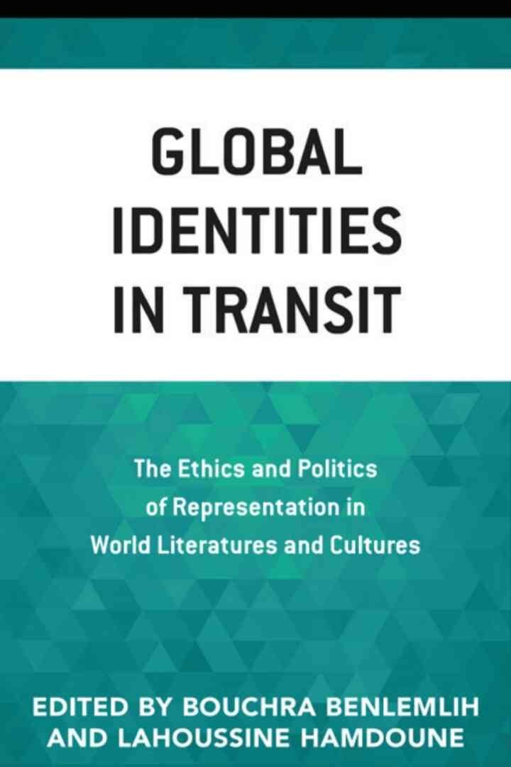 Global Identities in Transit: The Ethics and Politics of Representation in World Literatures and Cultures eBook