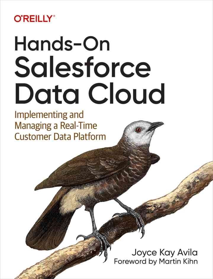 Hands-On Salesforce Data Cloud: Implementing and Managing a Real-Time Customer Data Platform, 1st Edition eBook