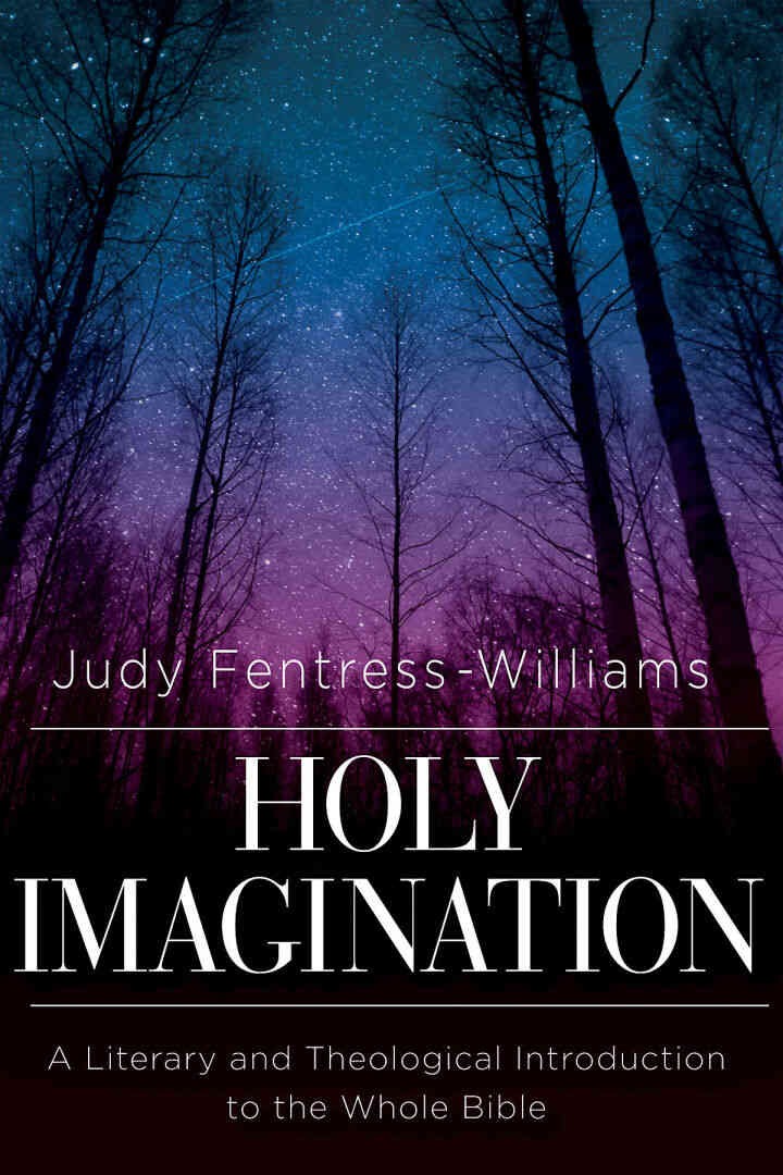 Holy Imagination: A Literary and Theological Introduction to the Whole Bible eBook