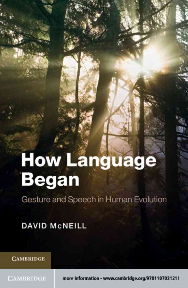 How Language Began: Gesture and Speech in Human Evolution eBook