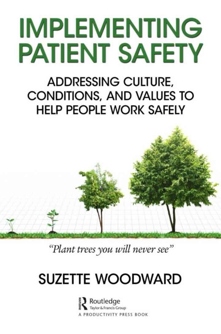 Implementing Patient Safety: Addressing Culture, Conditions and Values to Help People Work Safely eBook