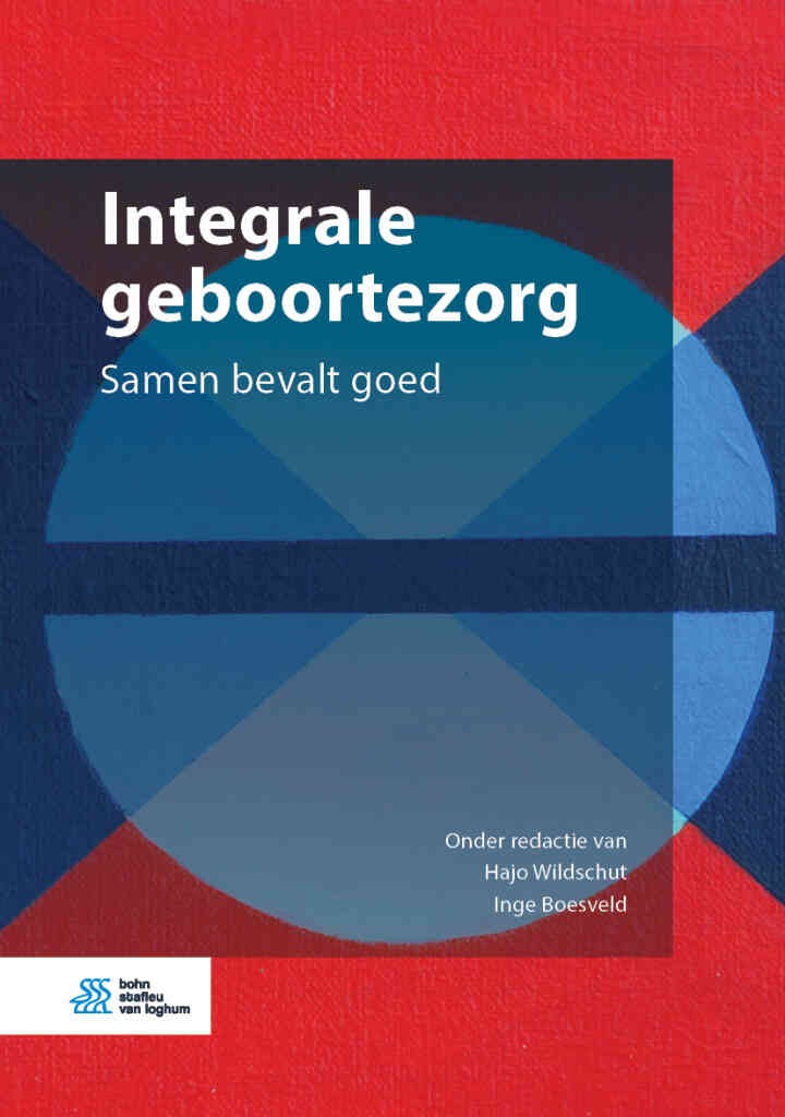 Integrale geboortezorg: Samen bevalt goed eBook