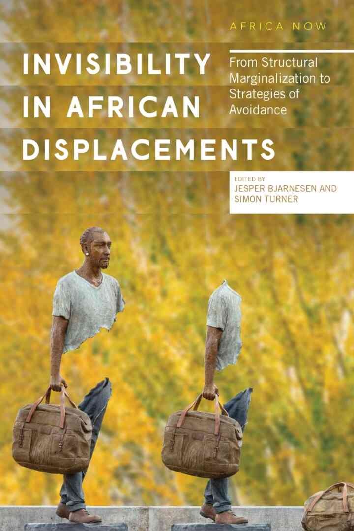 Invisibility in African Displacements: From Structural Marginalization to Strategies of Avoidance eBook