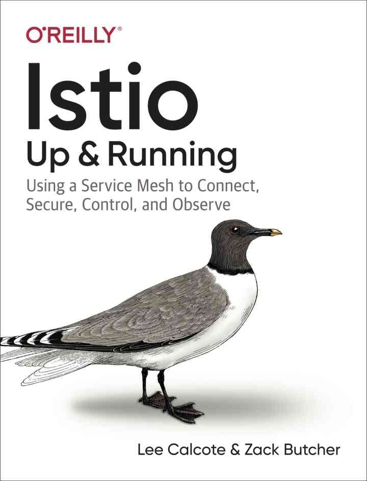 Istio: Up and Running: Using a Service Mesh to Connect, Secure, Control, and Observe, 1st Edition eBook