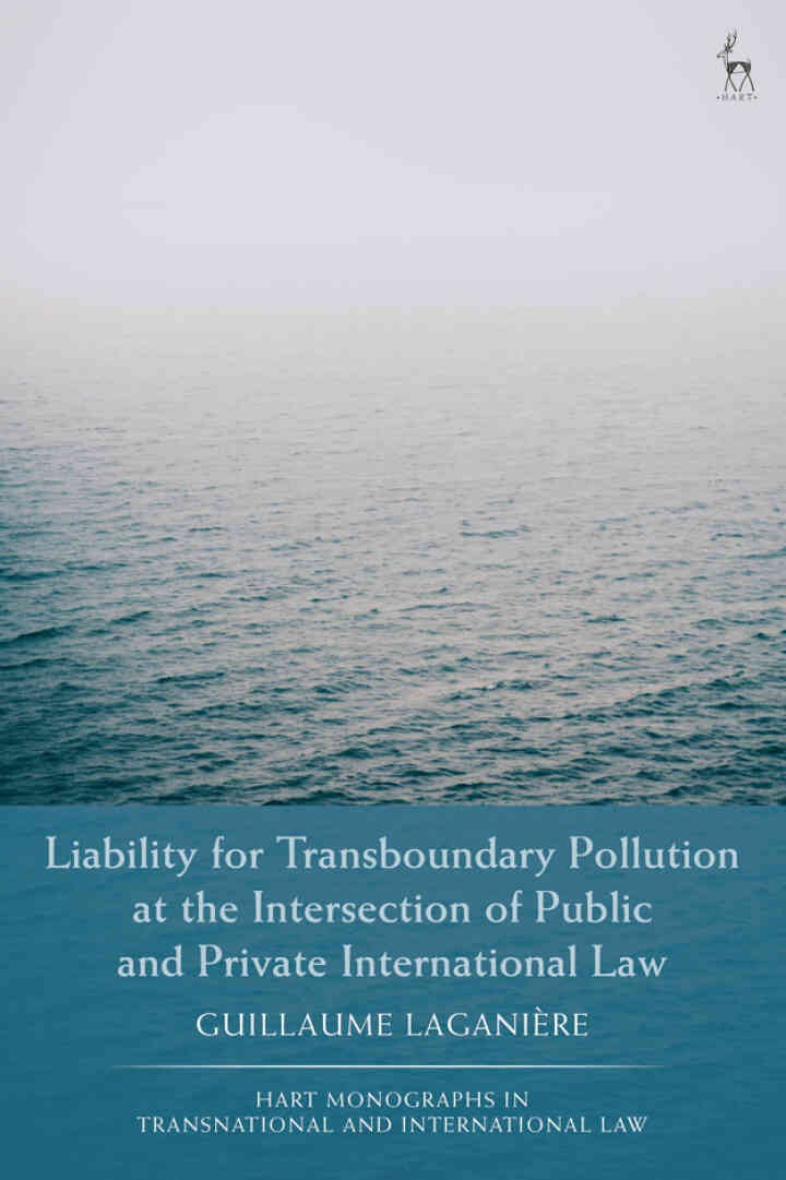 Liability for Transboundary Pollution at the Intersection of Public and Private International Law eBook