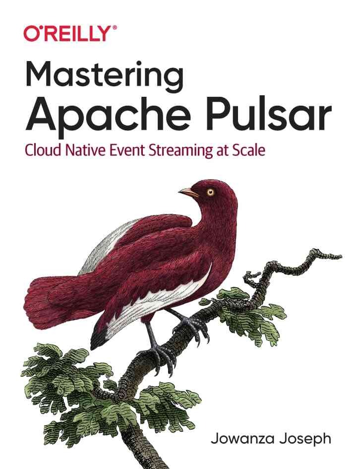 Mastering Apache Pulsar: Cloud Native Event Streaming at Scale, 1st Edition eBook