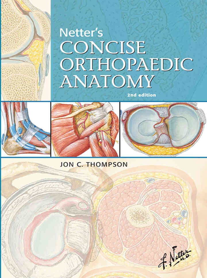 Netter's Concise Orthopaedic Anatomy, Updated Edition - Electronic, 2nd Edition eBook