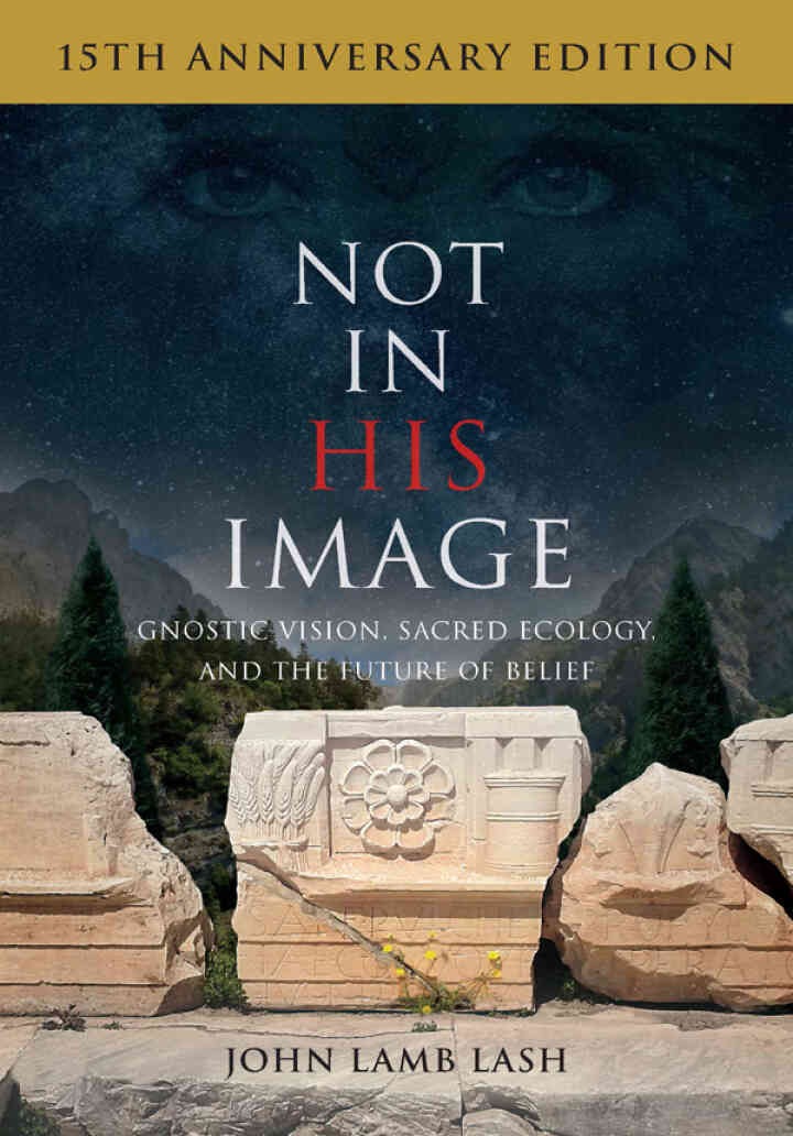 Not in His Image (15th Anniversary Edition): Gnostic Vision, Sacred Ecology, and the Future of Belief eBook