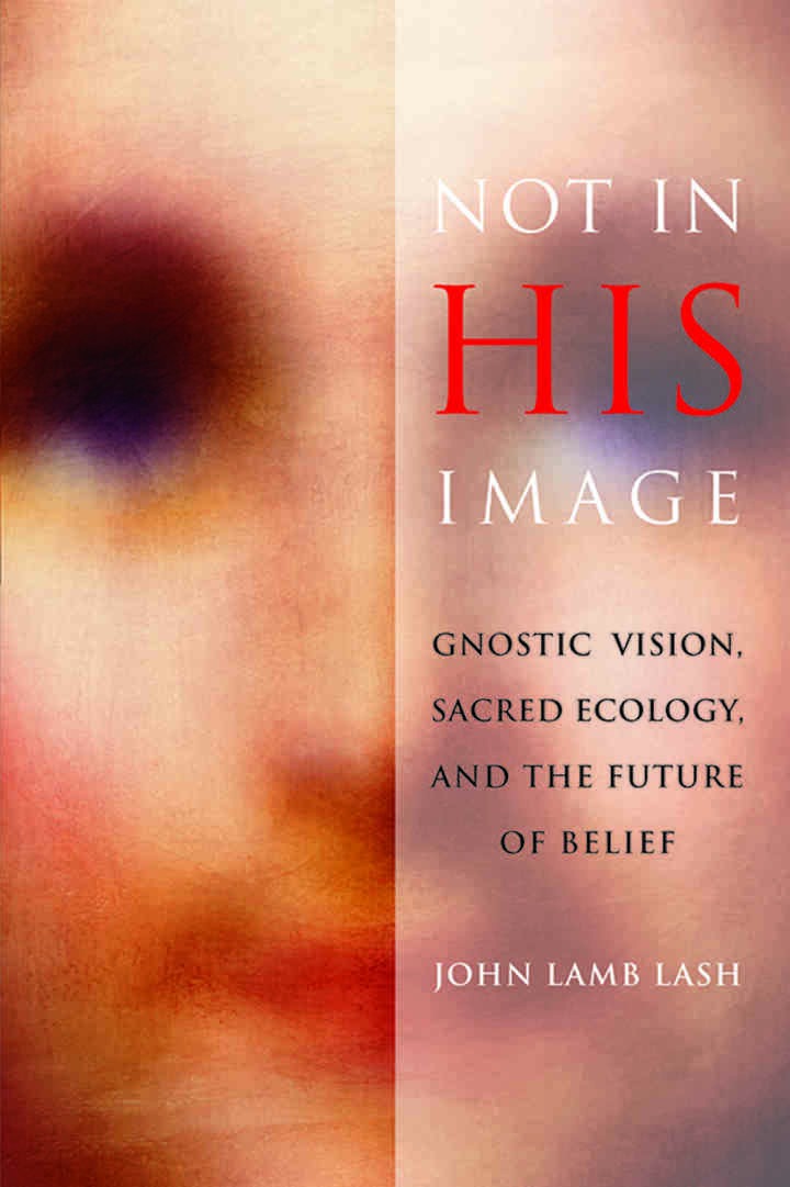 Not in His Image: Gnostic Vision, Sacred Ecology, and the Future of Belief eBook
