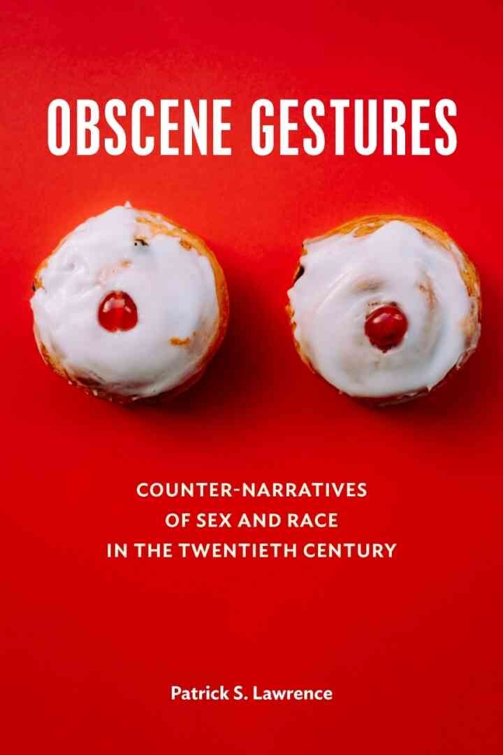 Obscene Gestures: Counter-Narratives of Sex and Race in the Twentieth Century eBook