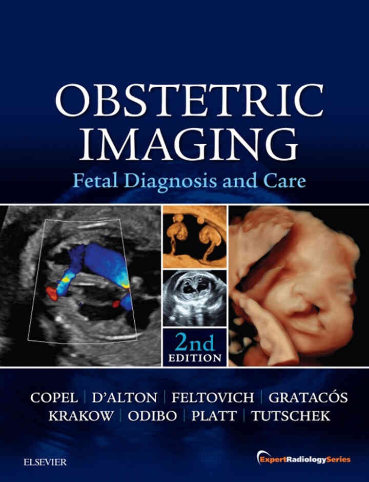 Obstetric Imaging: Fetal Diagnosis and Care eBook