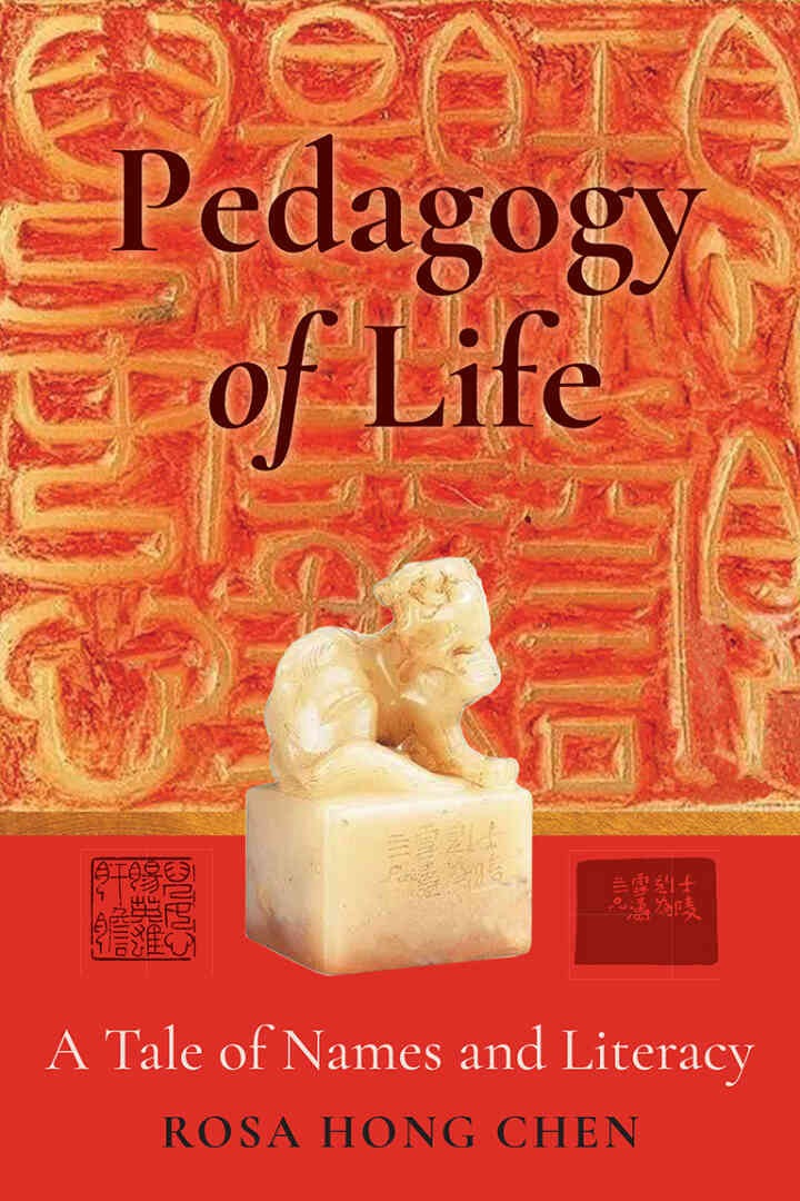 Pedagogy of Life: A Tale of Names and Literacy, 1st Edition eBook
