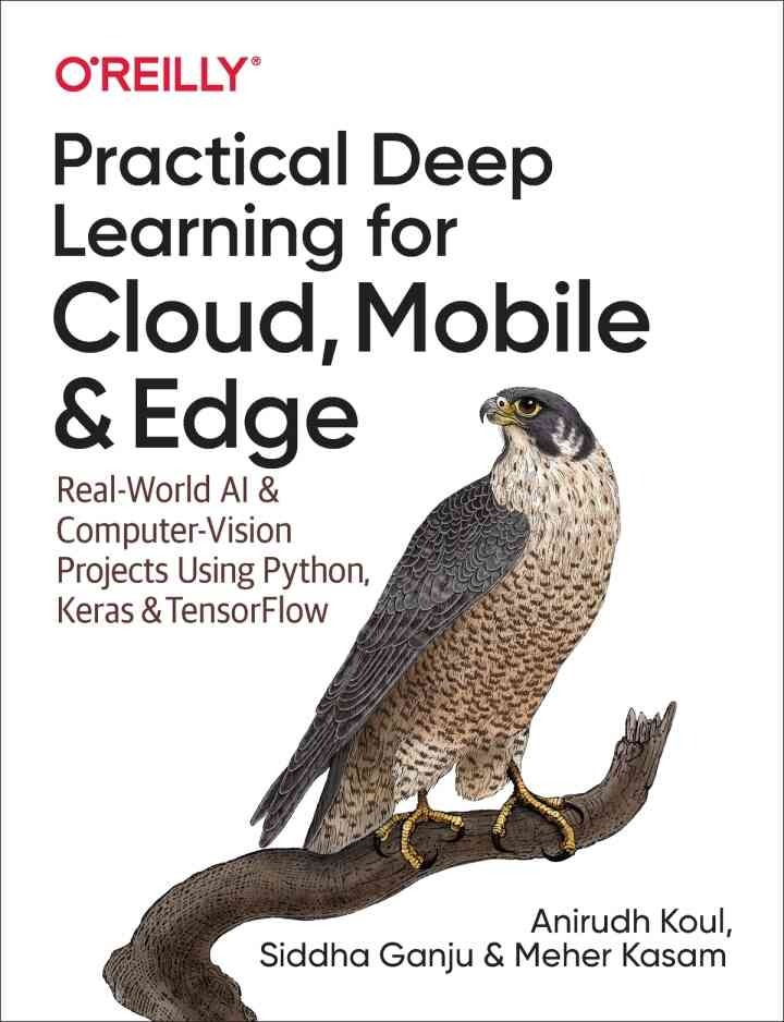 Practical Deep Learning for Cloud, Mobile, and Edge: Real-World AI & Computer-Vision Projects Using Python, Keras & TensorFlow, 1st Edition eBook