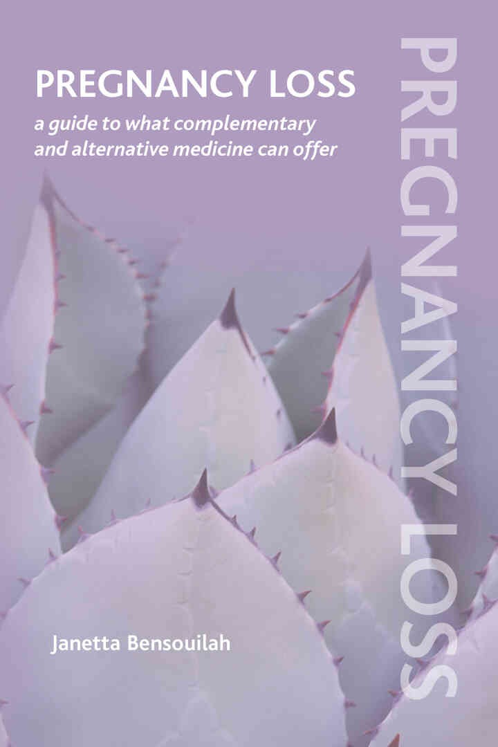 Pregnancy Loss: A Guide to What Complementary and Alternative Medicine Can Offer eBook