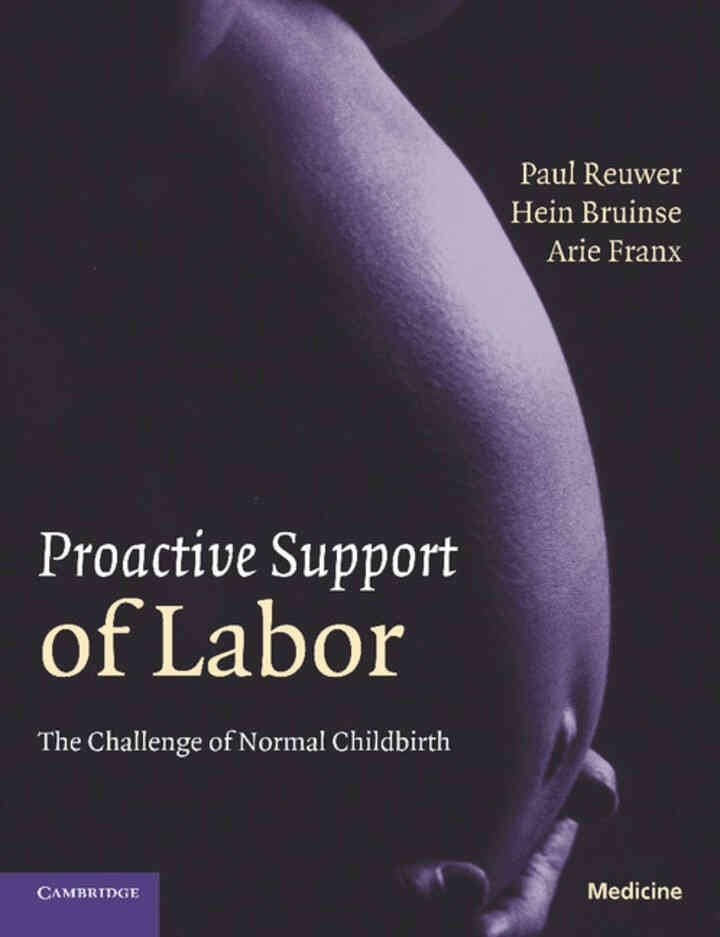 Proactive Support of Labor: The Challenge of Normal Childbirth eBook