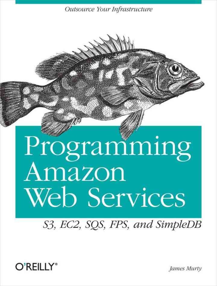 Programming Amazon Web Services: S3, EC2, SQS, FPS, and SimpleDB, 1st Edition eBook