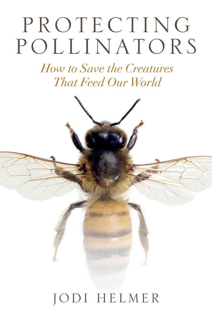 Protecting Pollinators: How to Save the Creatures that Feed Our World eBook