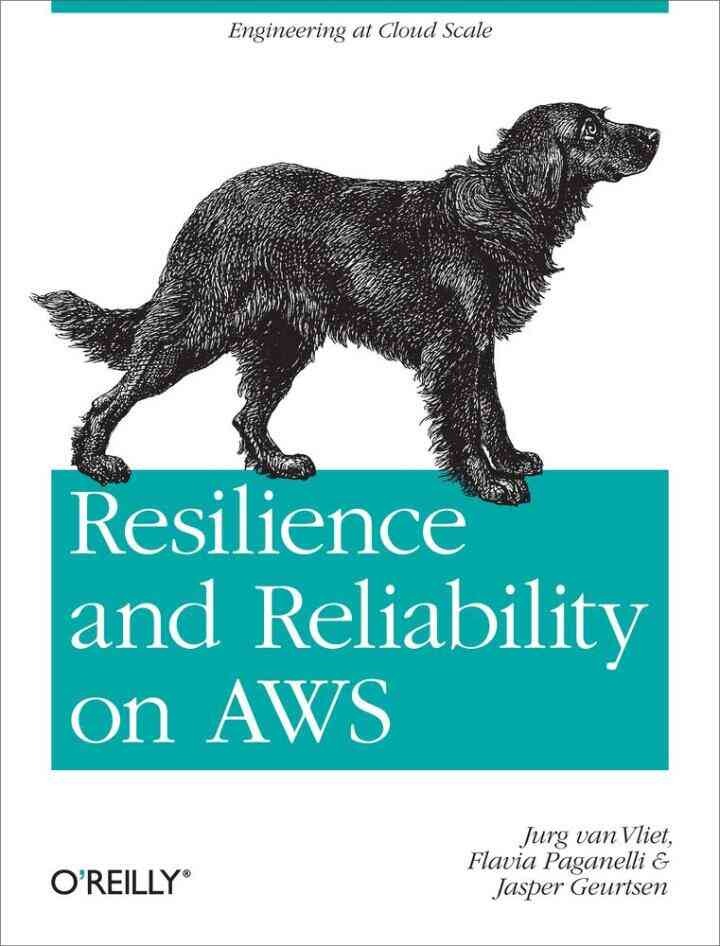 Resilience and Reliability on AWS: Engineering at Cloud Scale, 1st Edition eBook