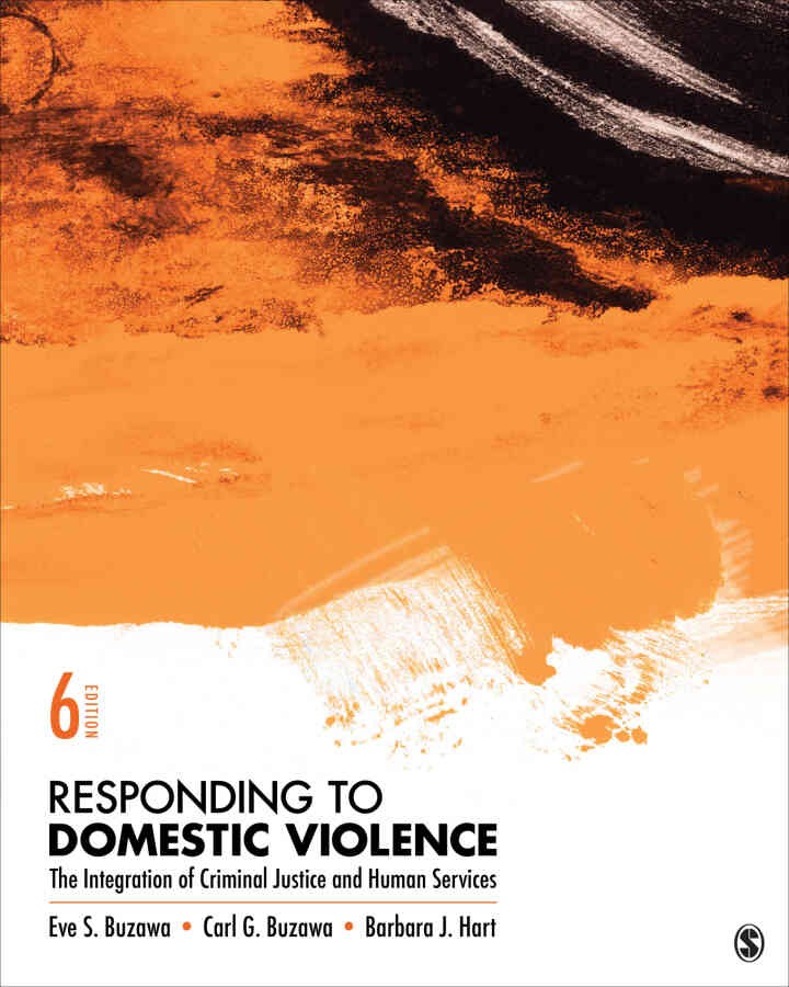Responding to Domestic Violence: The Integration of Criminal Justice and Human Services, 6th Edition eBook