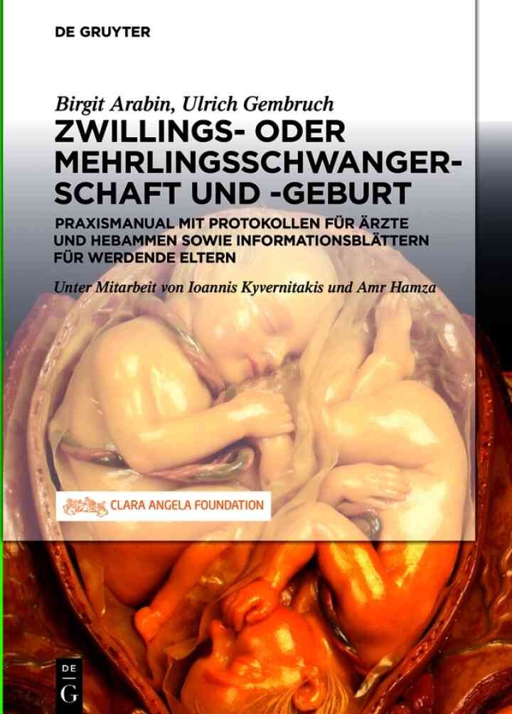 Schwangerschaft, Geburt und Wochenbett von Zwillingen und höhergradigen Mehrlingen: Praxismanual für Ärzte und Hebammen sowie werdende Eltern eBook