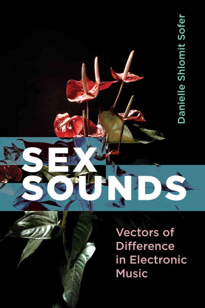 Sex Sounds: Vectors of Difference in Electronic Music eBook
