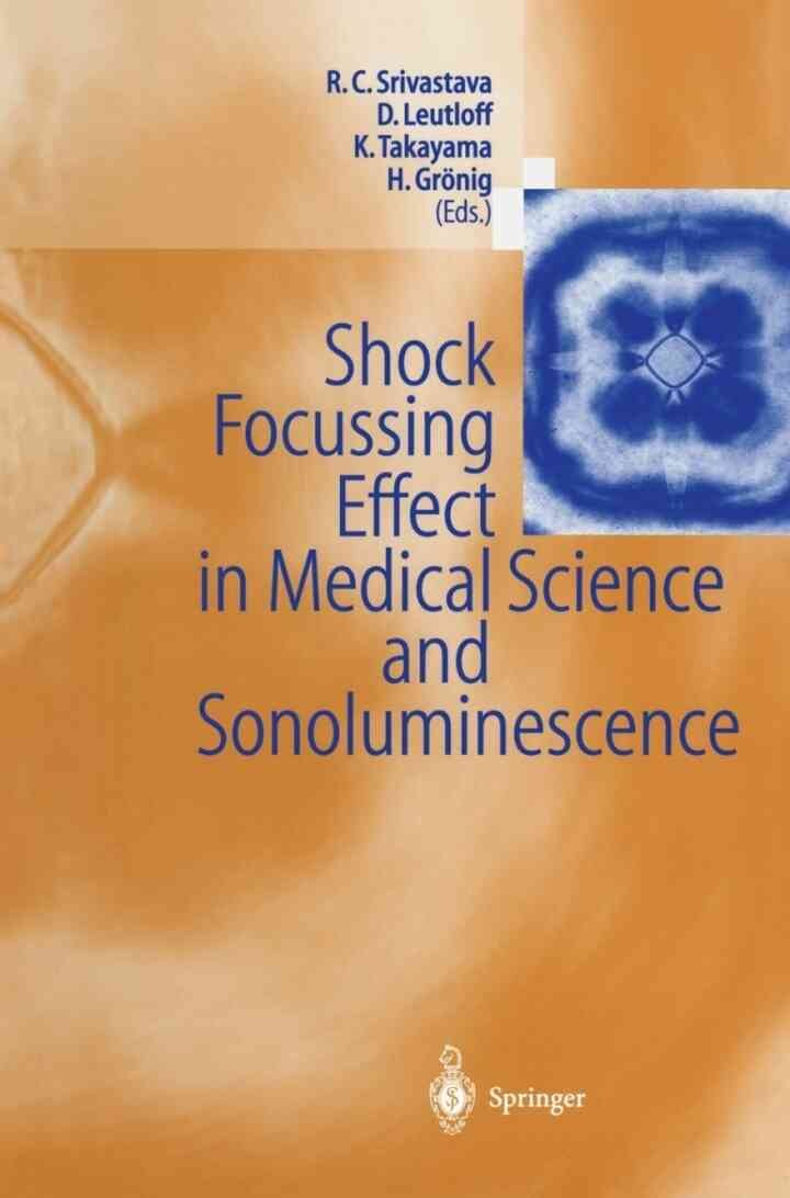 Shock Focussing Effect in Medical Science and Sonoluminescence eBook