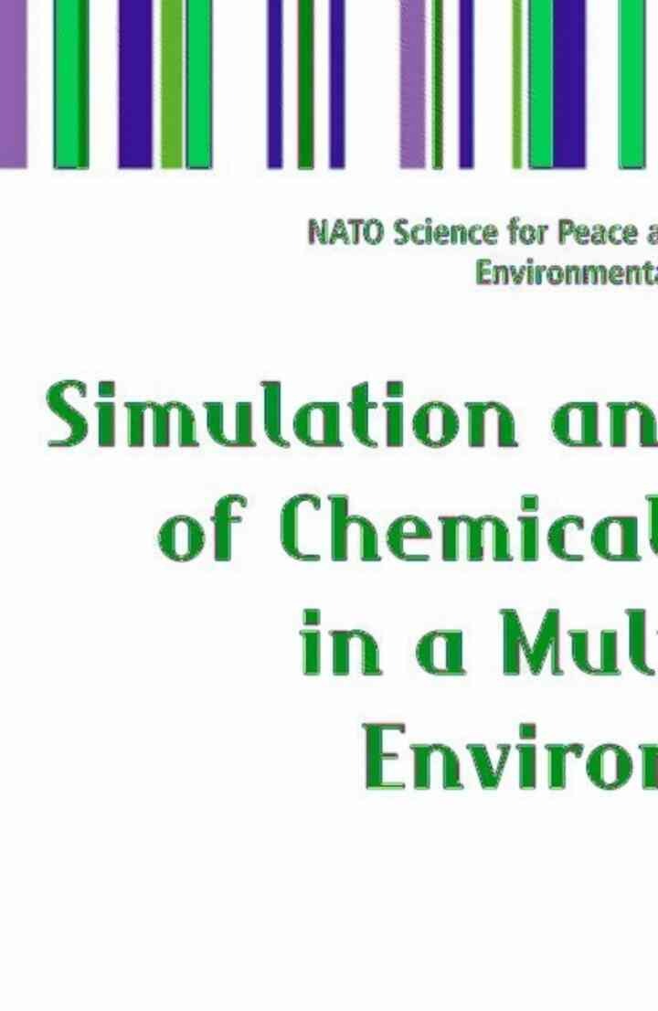 Simulation and Assessment of Chemical Processes in a Multiphase Environment eBook