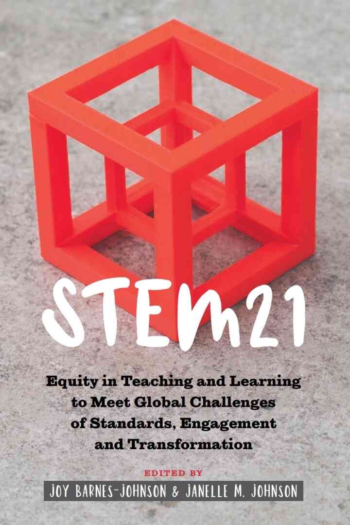 STEM21: Equity in Teaching and Learning to Meet Global Challenges of Standards, Engagement and Transformation, 1st Edition eBook