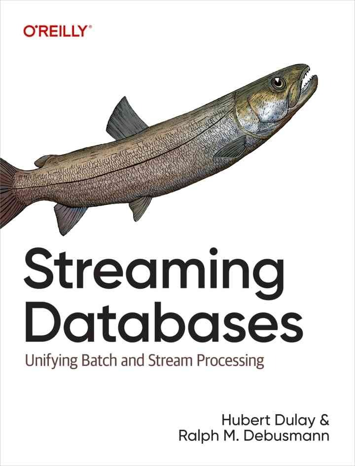 Streaming Databases: Unifying Batch and Stream Processing, 1st Edition eBook
