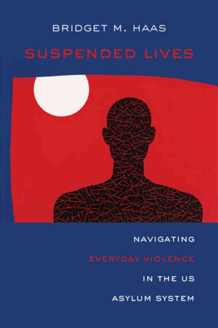 Suspended Lives: Navigating Everyday Violence in the US Asylum System eBook