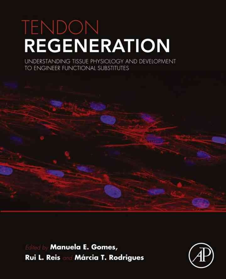 Tendon Regeneration: Understanding Tissue Physiology and Development to Engineer Functional Substitutes eBook