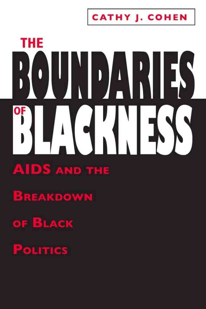 The Boundaries of Blackness: AIDS and the Breakdown of Black Politics, 1st Edition eBook