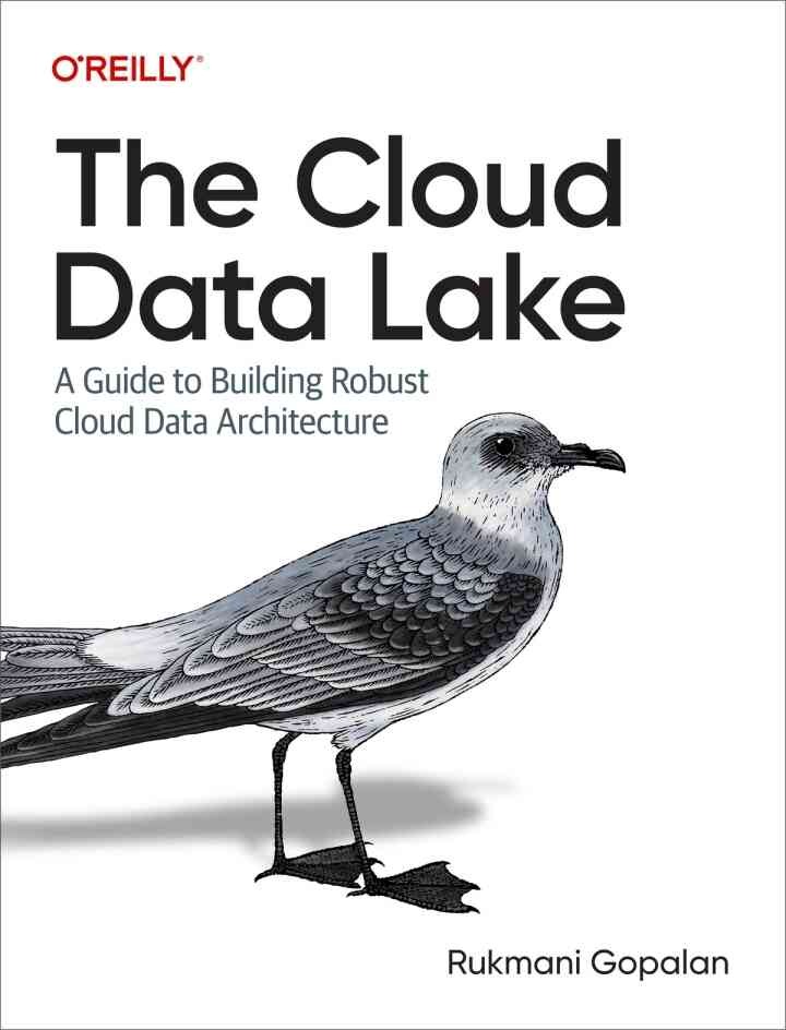 The Cloud Data Lake: A Guide to Building Robust Cloud Data Architecture, 1st Edition eBook